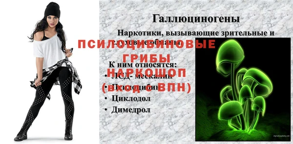 таблы Жердевка
