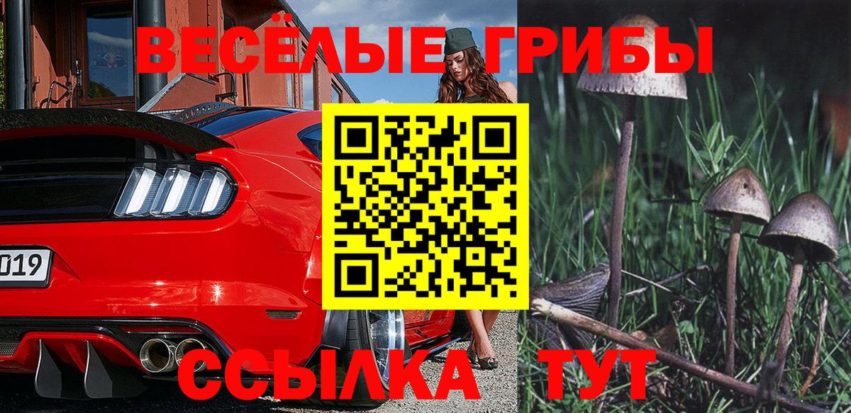 Псилоцибиновые грибы GOLDEN TEACHER  Псилоцибиновые грибы GOLDEN TEACHER  Междуреченск  Вход с VPN 